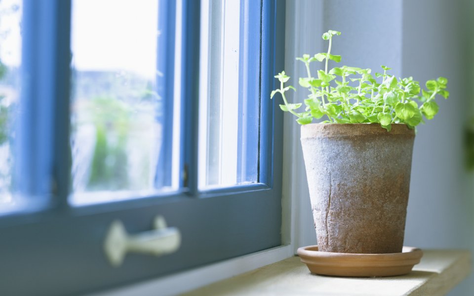 Interior_herb_HQ031