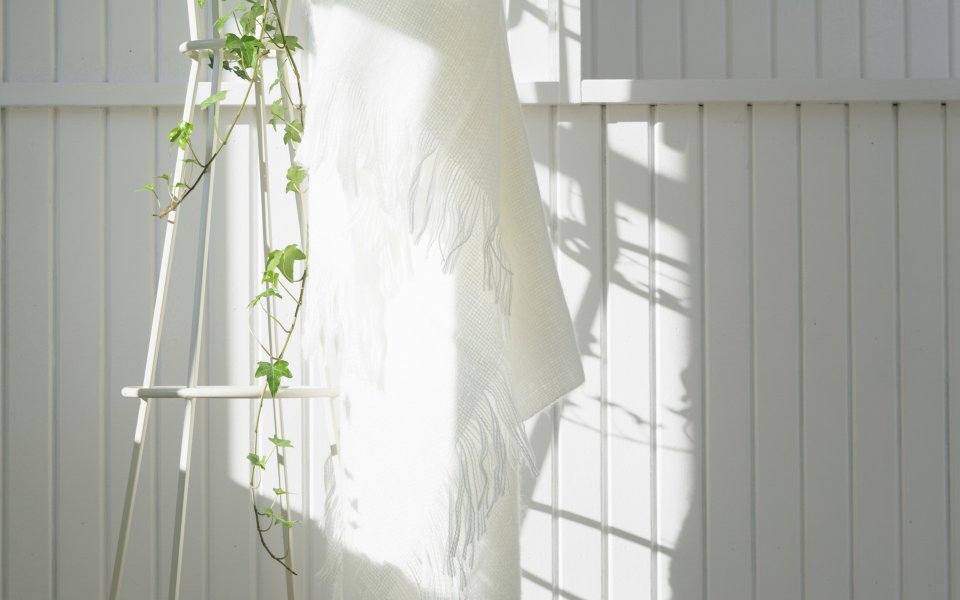 Interior_herb_HQ044