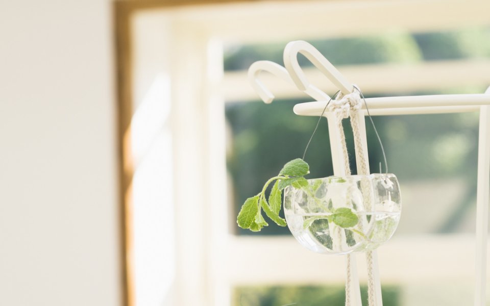 Interior_herb_HQ049