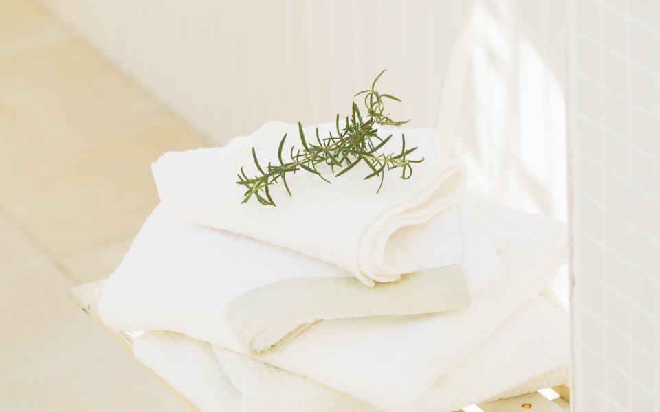 Interior_herb_HQ051