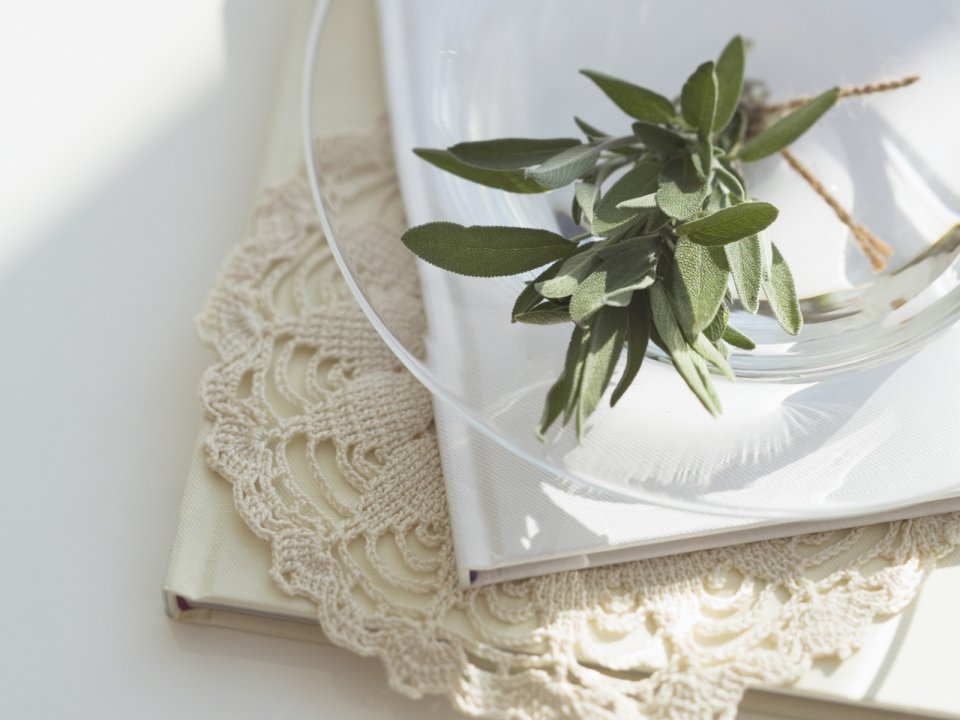 Interior_herb_HQ060