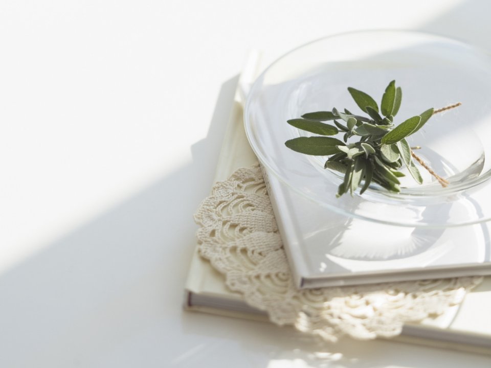 Interior_herb_HQ061