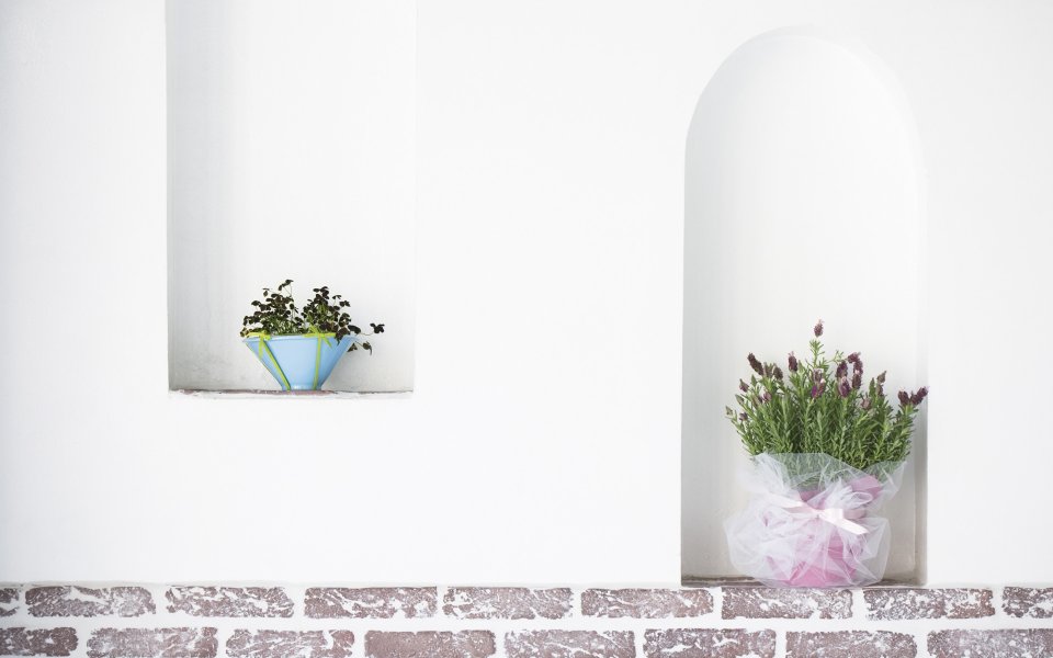 Interior_herb_HQ077