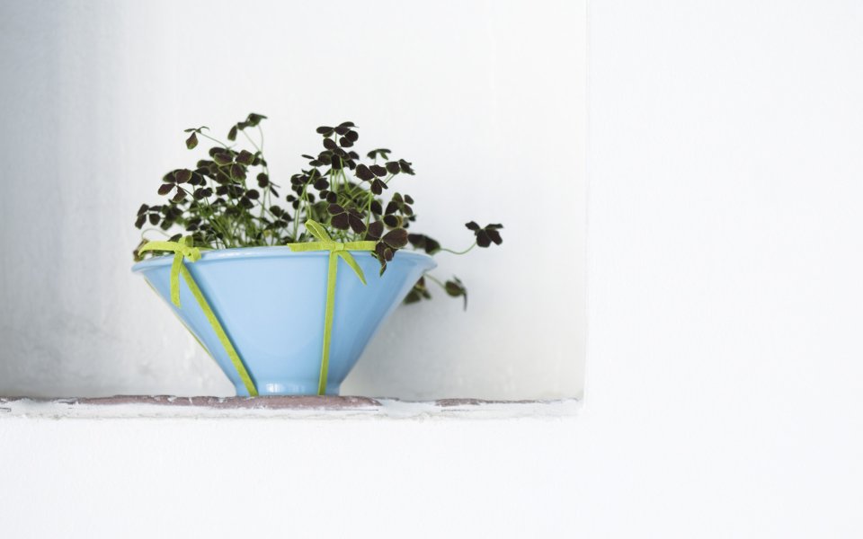 Interior_herb_HQ078