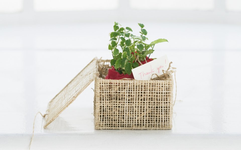 Interior_herb_HQ089