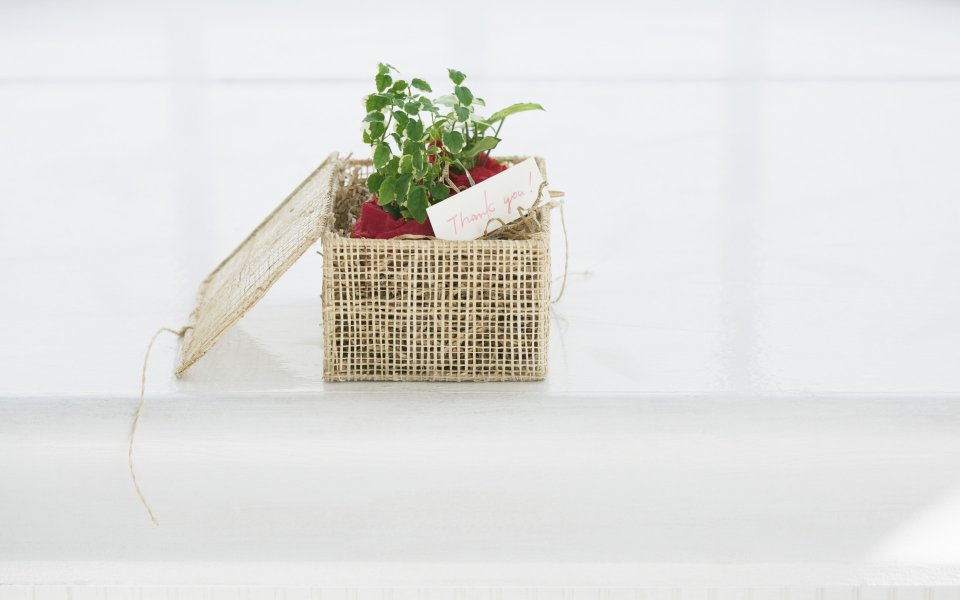 Interior_herb_HQ090