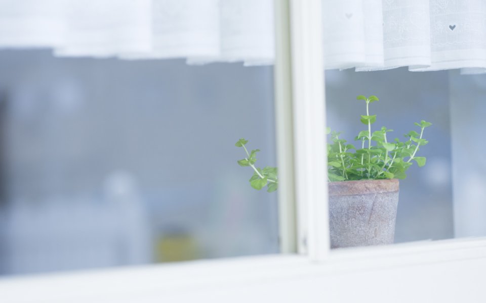 Interior_herb_HQ102