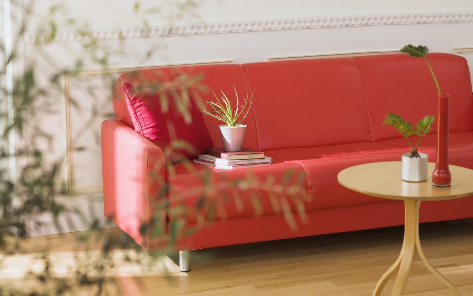 Interior Herb Hq109