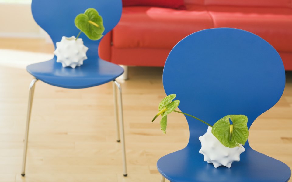 Interior_herb_HQ111
