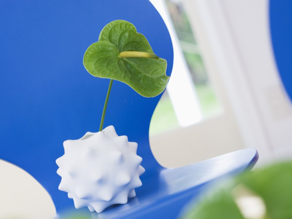 Interior_herb_HQ114