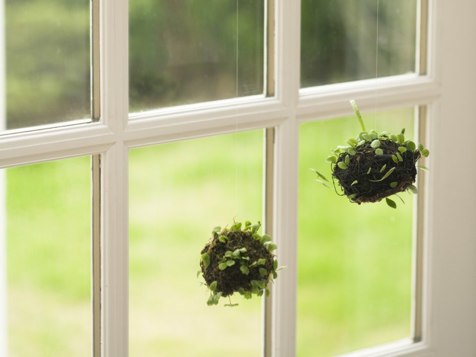 Interior_herb_HQ115
