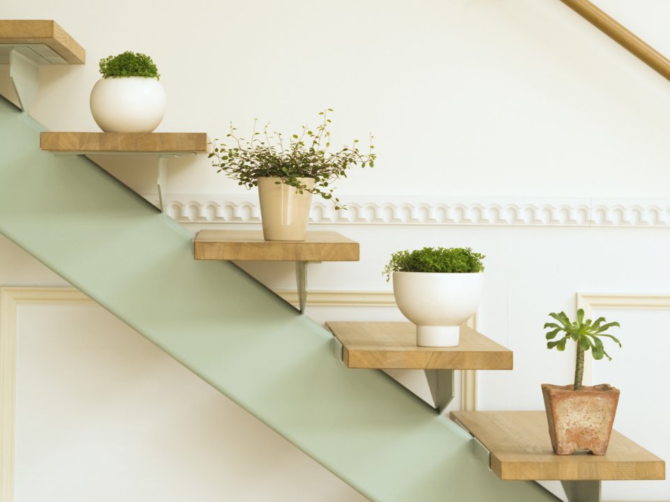 Interior_herb_HQ124