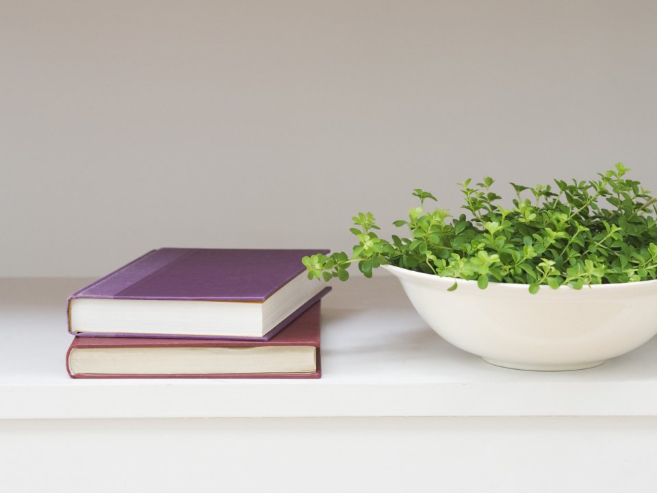 Interior_herb_HQ128