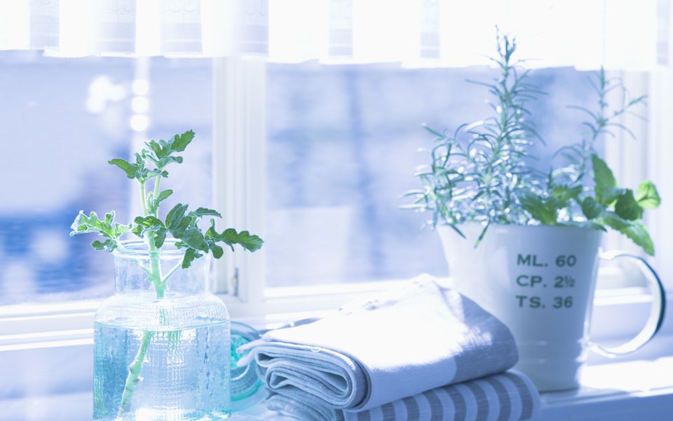 Interior_herb_HQ146