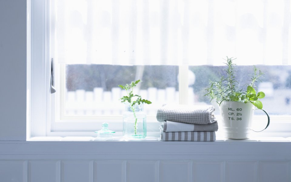 Interior_herb_HQ147