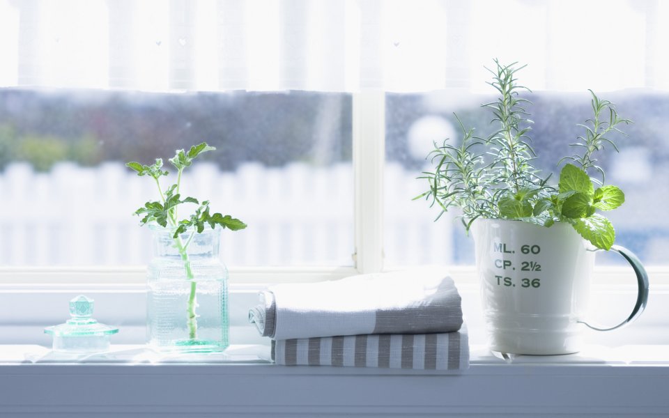 Interior_herb_HQ148