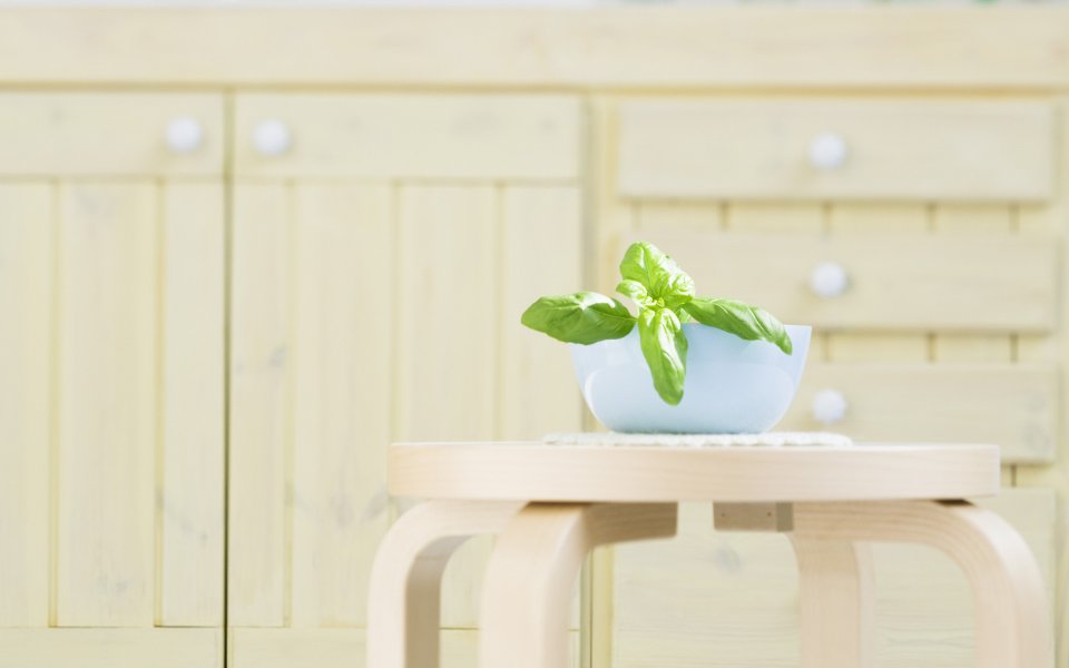 Interior_herb_HQ150