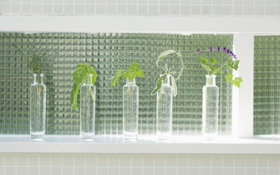 Interior_herb_HQ161