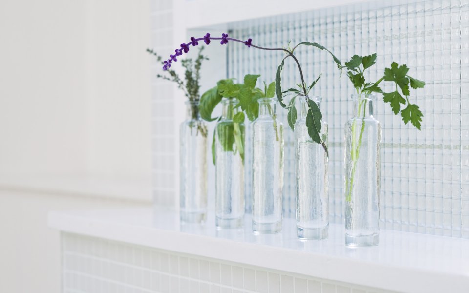 Interior_herb_HQ162