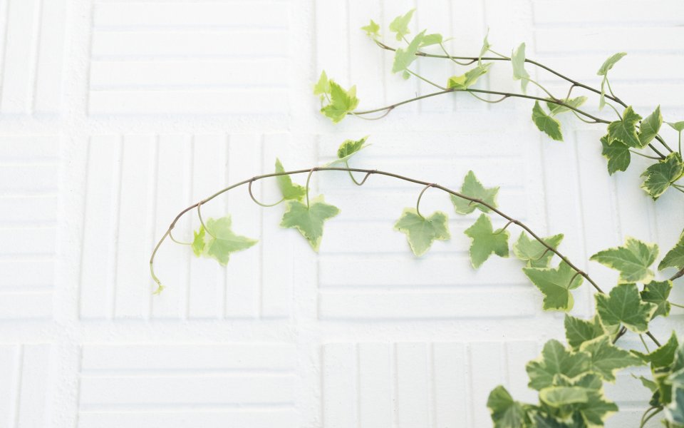 Interior_herb_HQ170