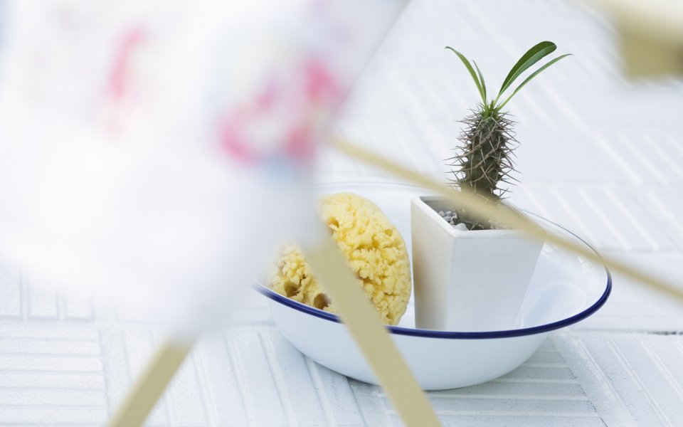 Interior_herb_HQ174