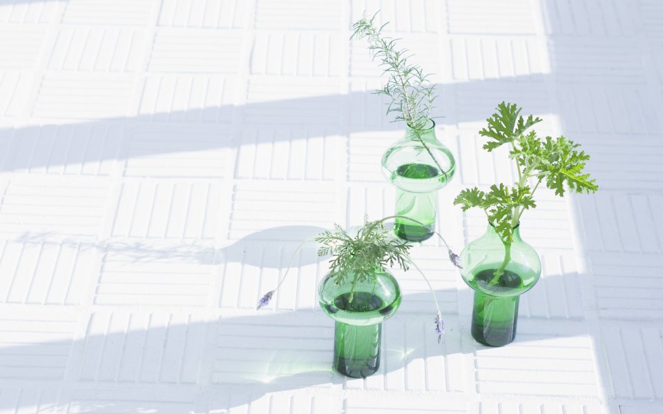 Interior_herb_HQ176