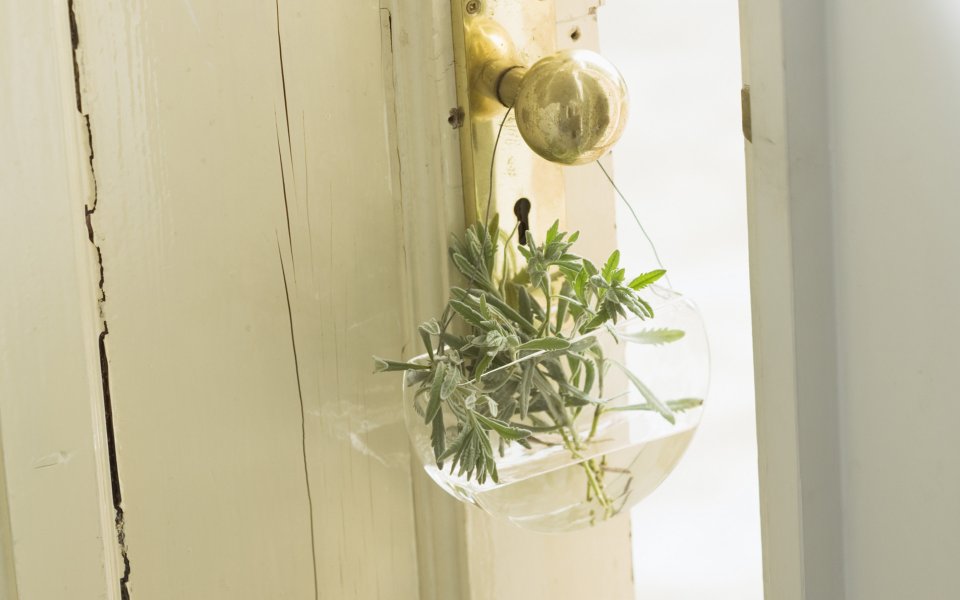 Interior_herb_HQ186