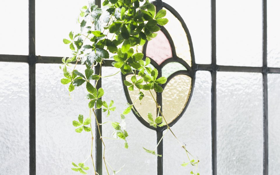 Interior_herb_HQ188