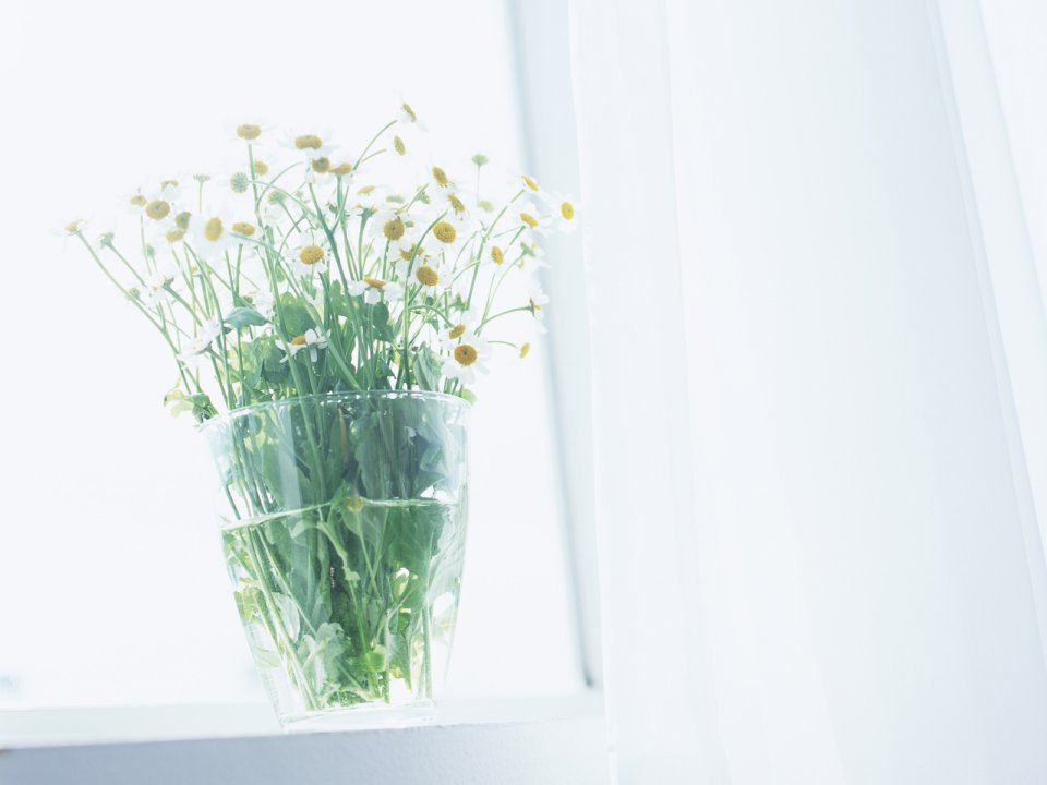 Interior_Photography_GK013
