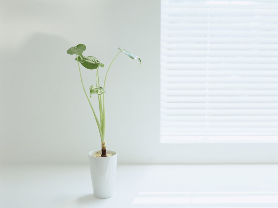 Interior_Photography_GK054