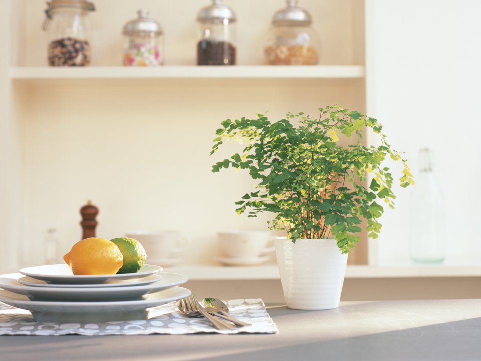 Interior_Photography_GK158