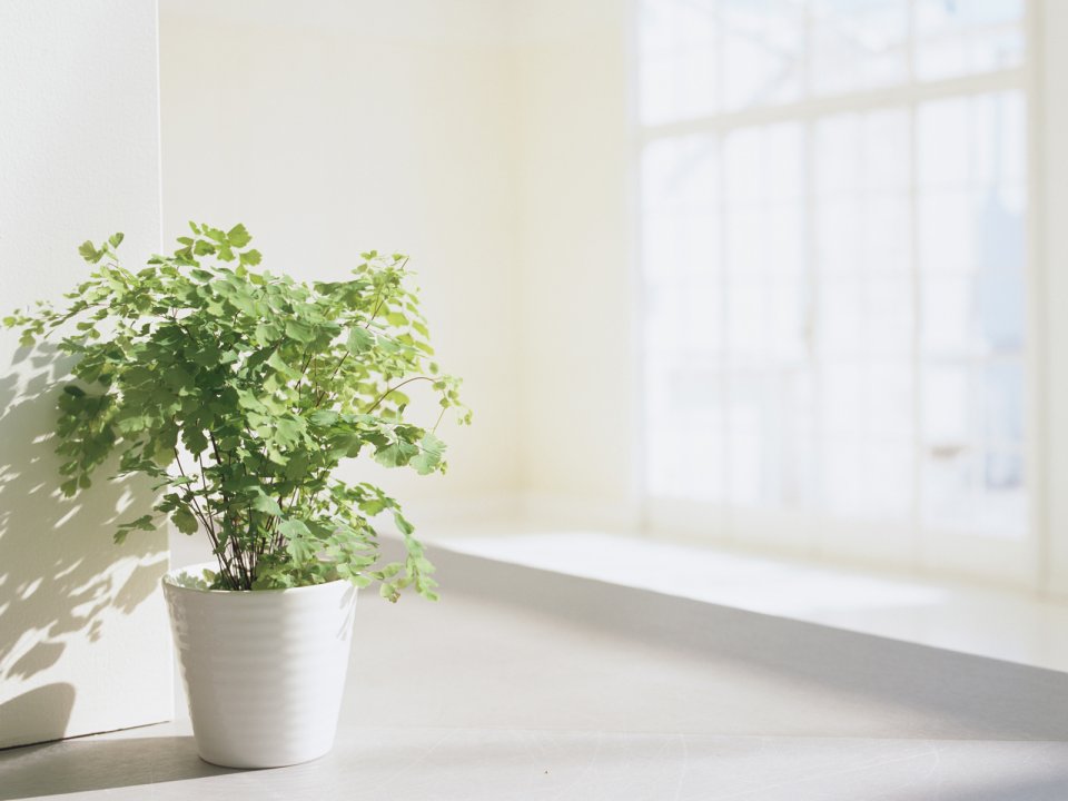 Interior_Photography_GK162