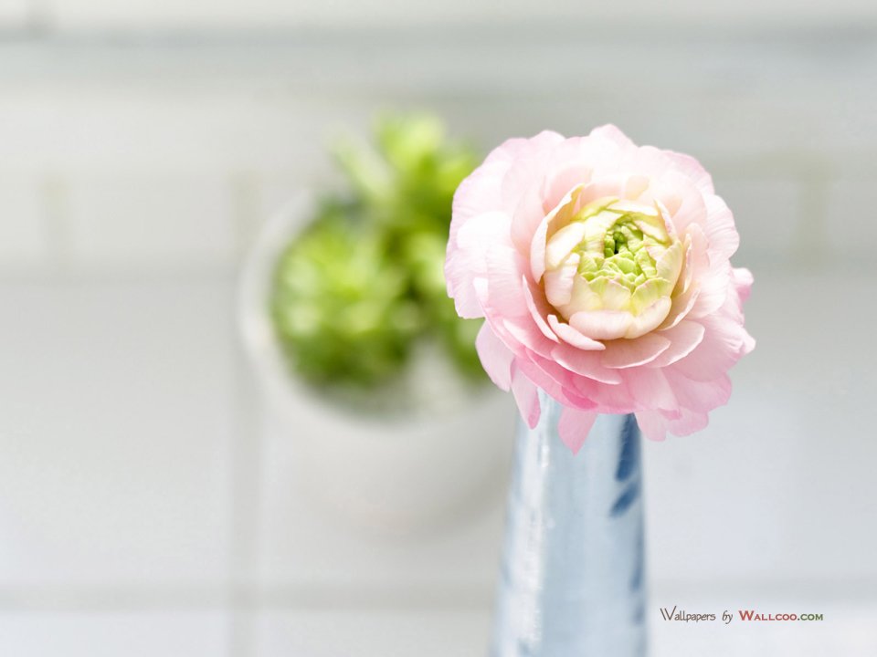 interior_sweet_flowers_art_12004