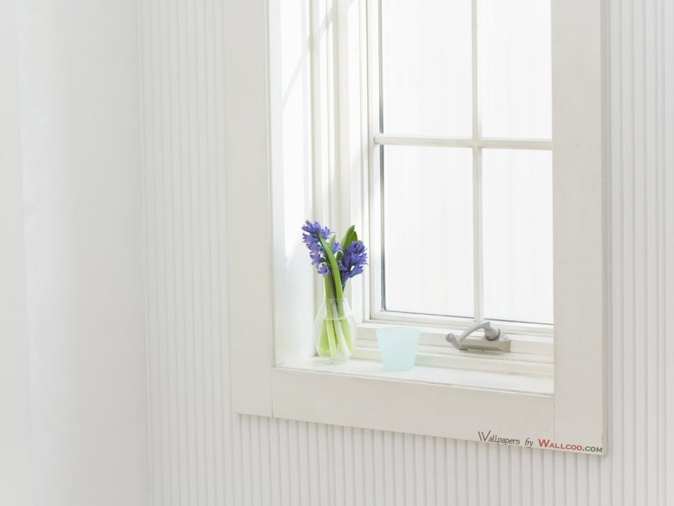 interior_sweet_flowers_art_12011