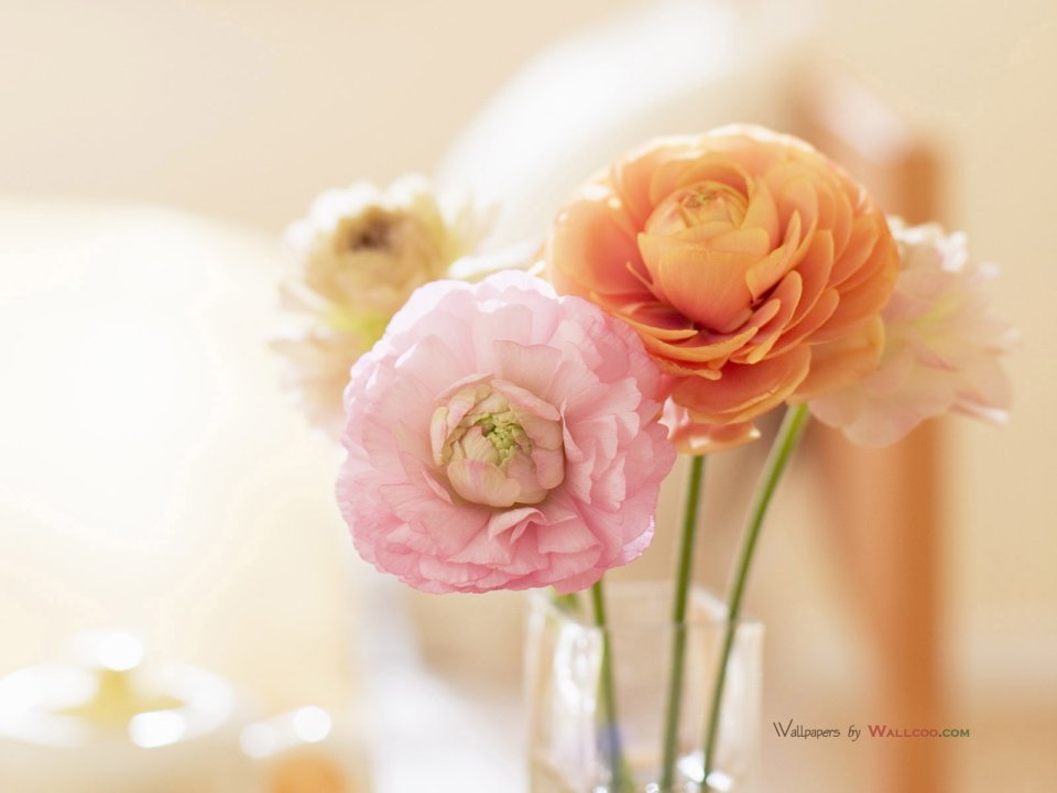 interior_sweet_flowers_art_12017