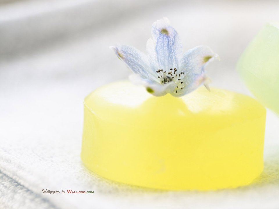 interior_sweet_flowers_art_13007