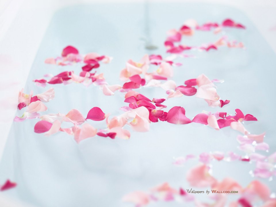 interior_sweet_flowers_art_13017