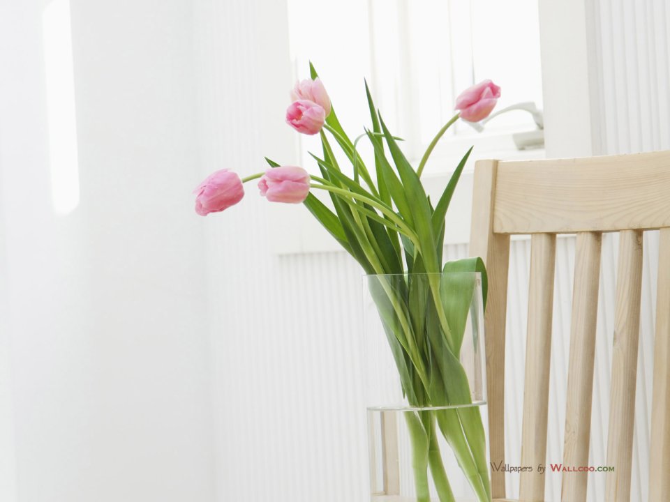 interior_sweet_flowers_art_13020
