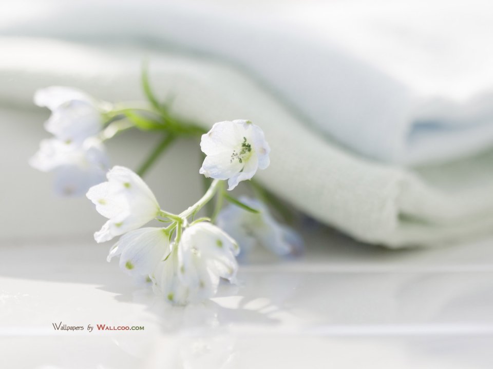 interior_sweet_flowers_art_14008