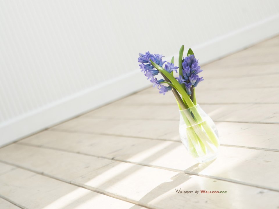 interior_sweet_flowers_art_15010