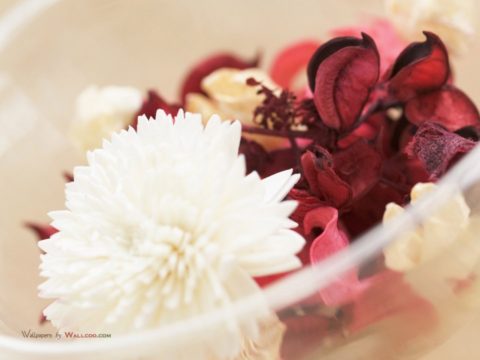 interior_sweet_flowers_art_15015