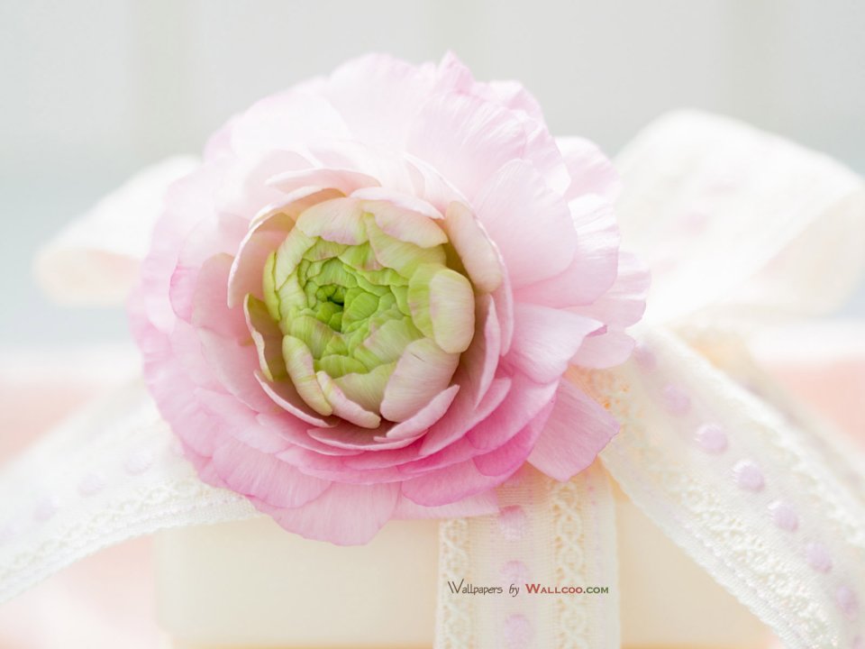interior_sweet_flowers_art_15019
