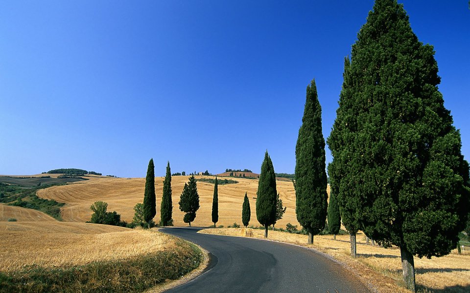 Italy, Winding Country Road in Monticchiello, Pienza