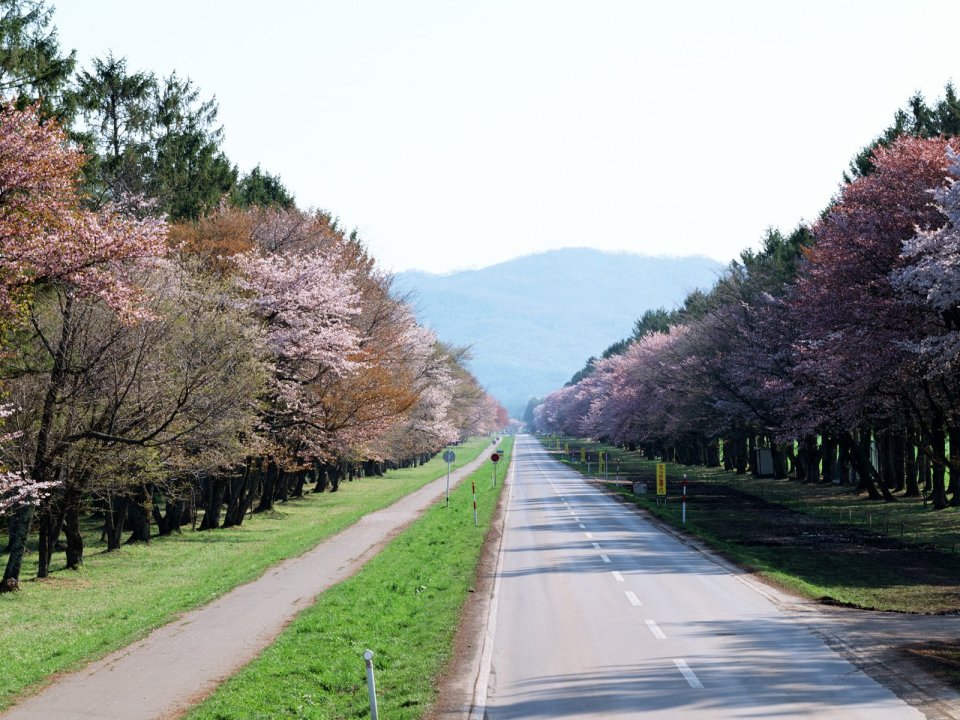 Japan-Hokkaido-Landscape-JF103_350A