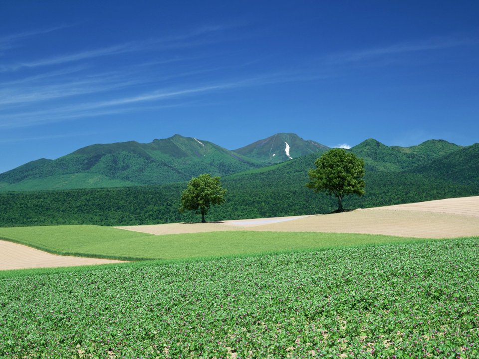 Japan-Hokkaido-Landscape-JF108_350A