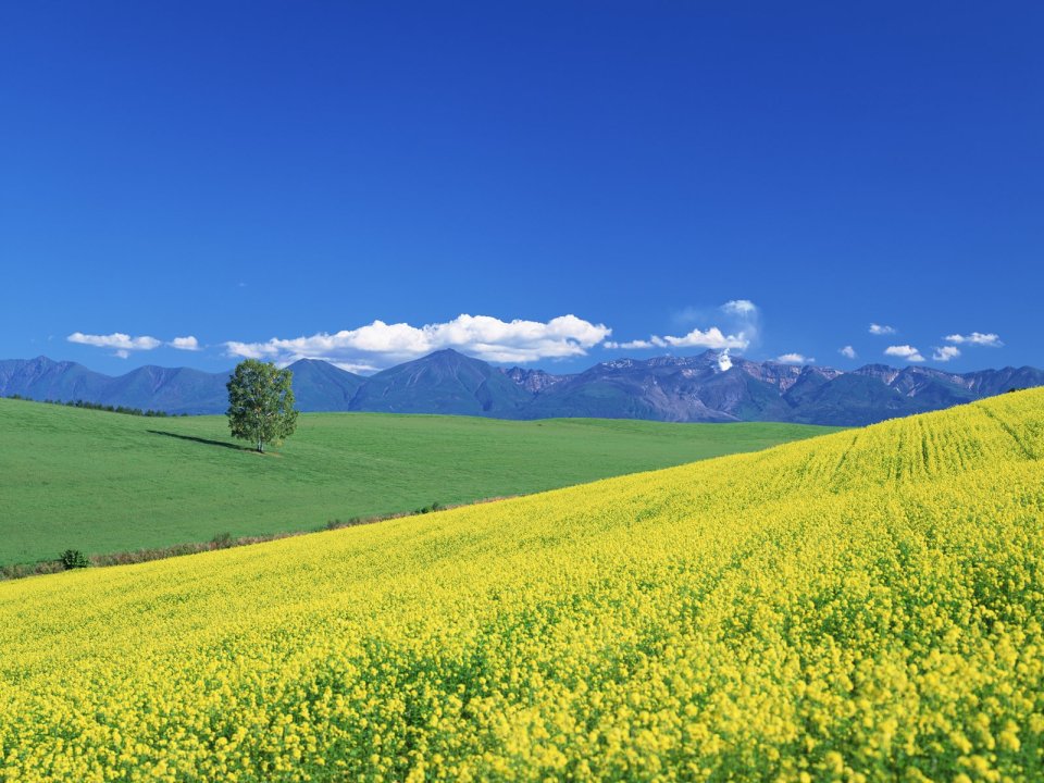 Japan-Hokkaido-Landscape-JF114_350A
