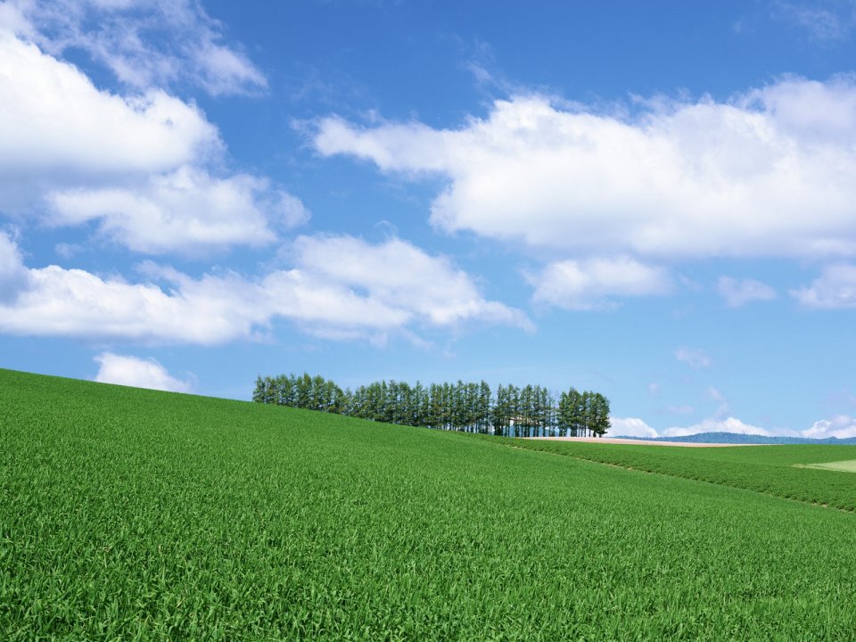 Japan-Hokkaido-Landscape-JF117_350A