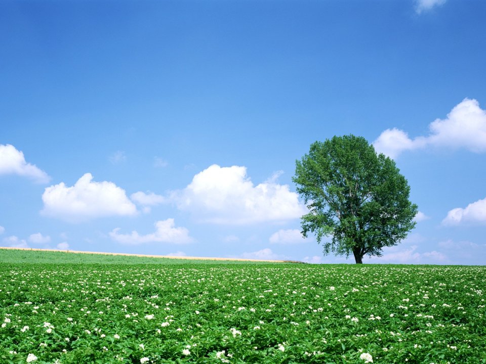 Japan-Hokkaido-Landscape-JF118_350A