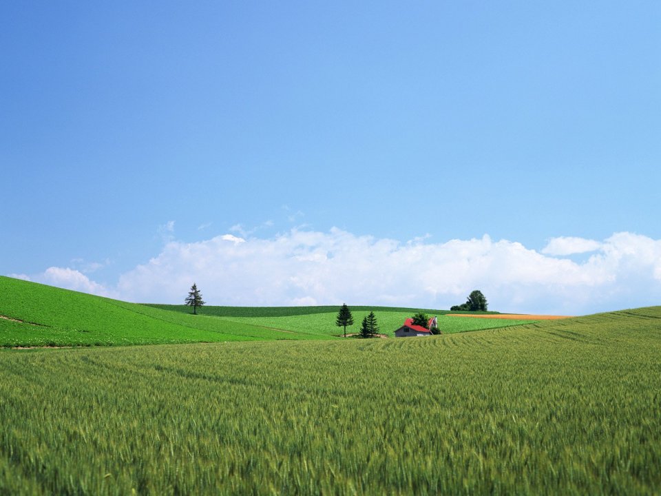 Japan-Hokkaido-Landscape-JF122_350A