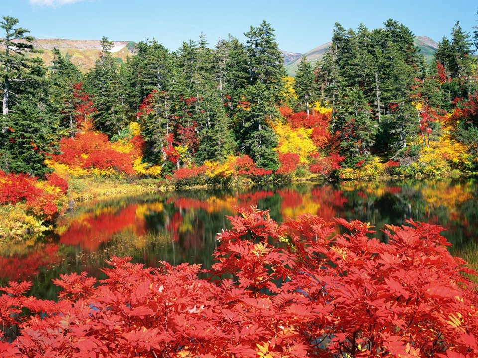 Japan-Hokkaido-Landscape-JF134_350A